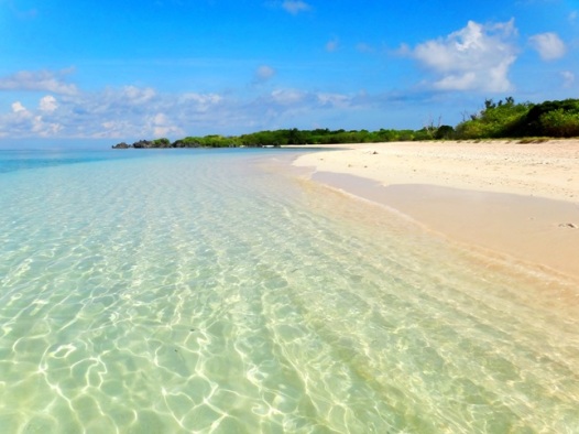 Beach, pink sand, Apo Island, Apo Reef, Sablayan, Occidental Mindoro, Philippines